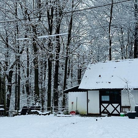 Romantyczna Chatka Pisarzowice  Екстер'єр фото