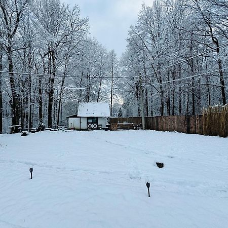 Romantyczna Chatka Pisarzowice  Екстер'єр фото