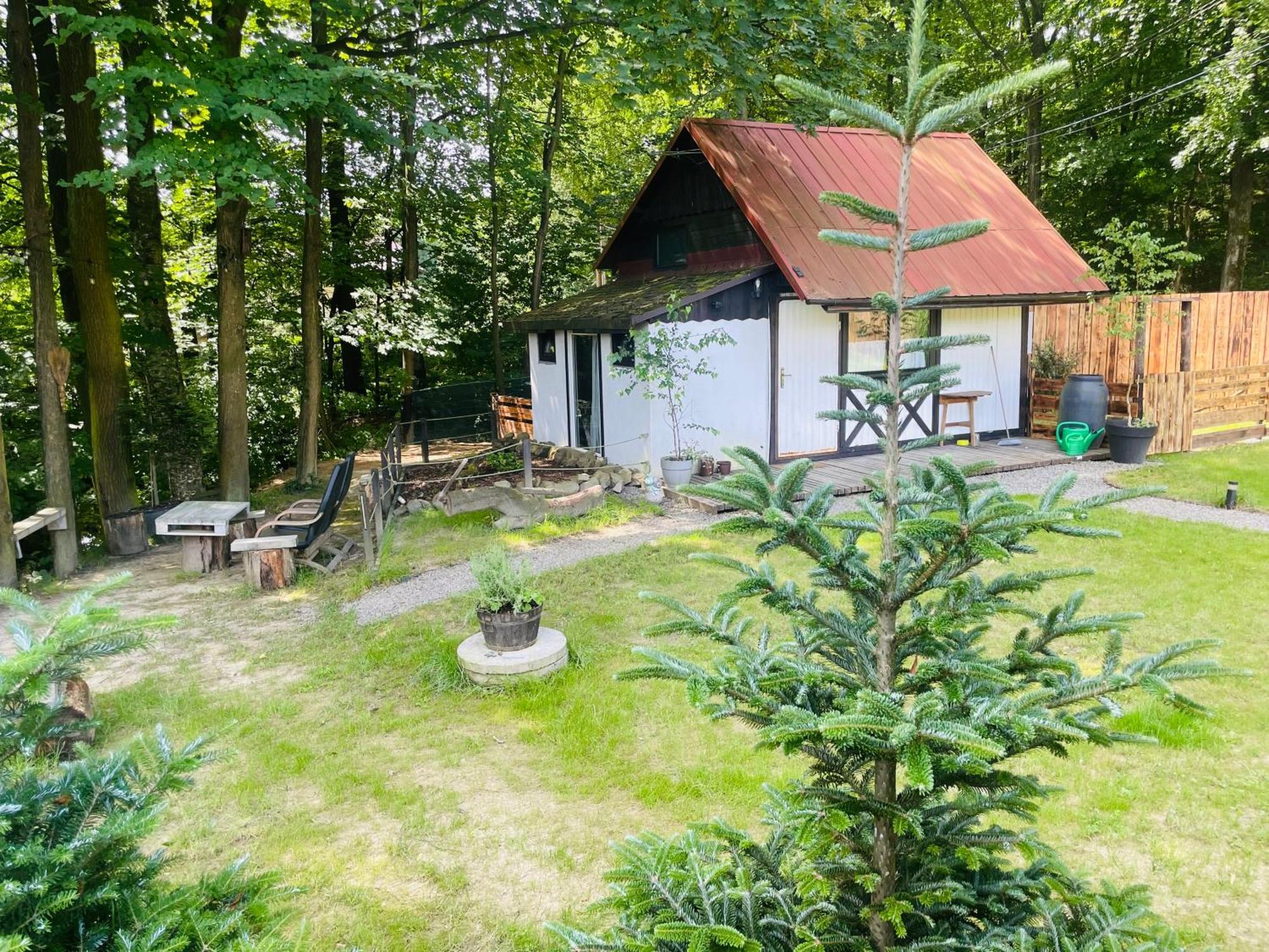 Romantyczna Chatka Pisarzowice  Екстер'єр фото