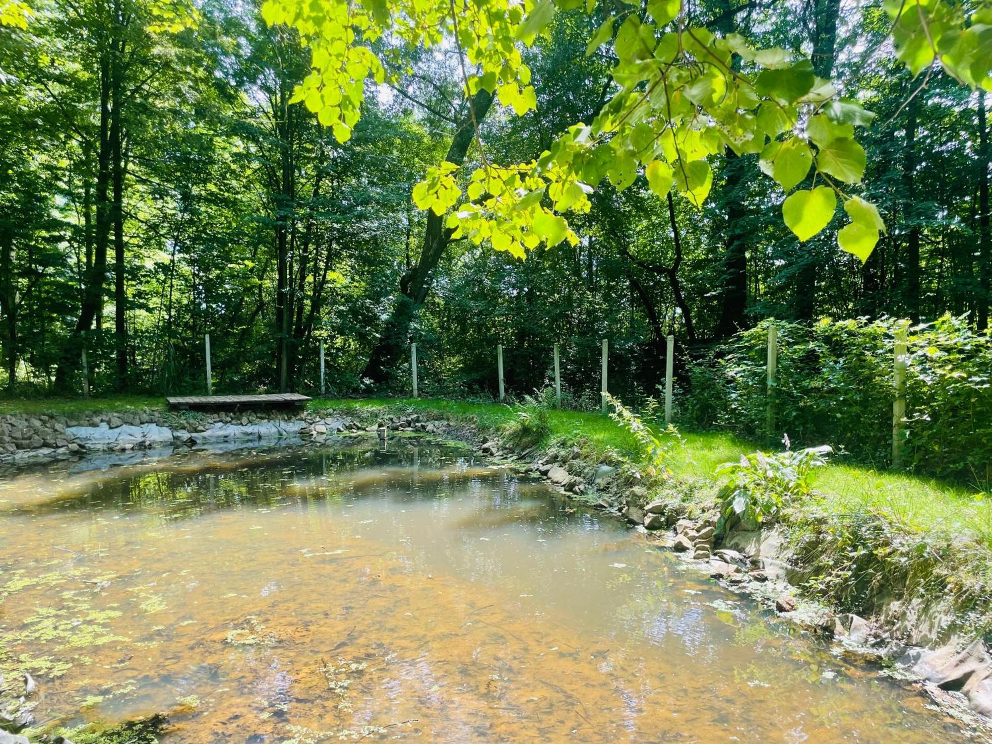 Romantyczna Chatka Pisarzowice  Екстер'єр фото