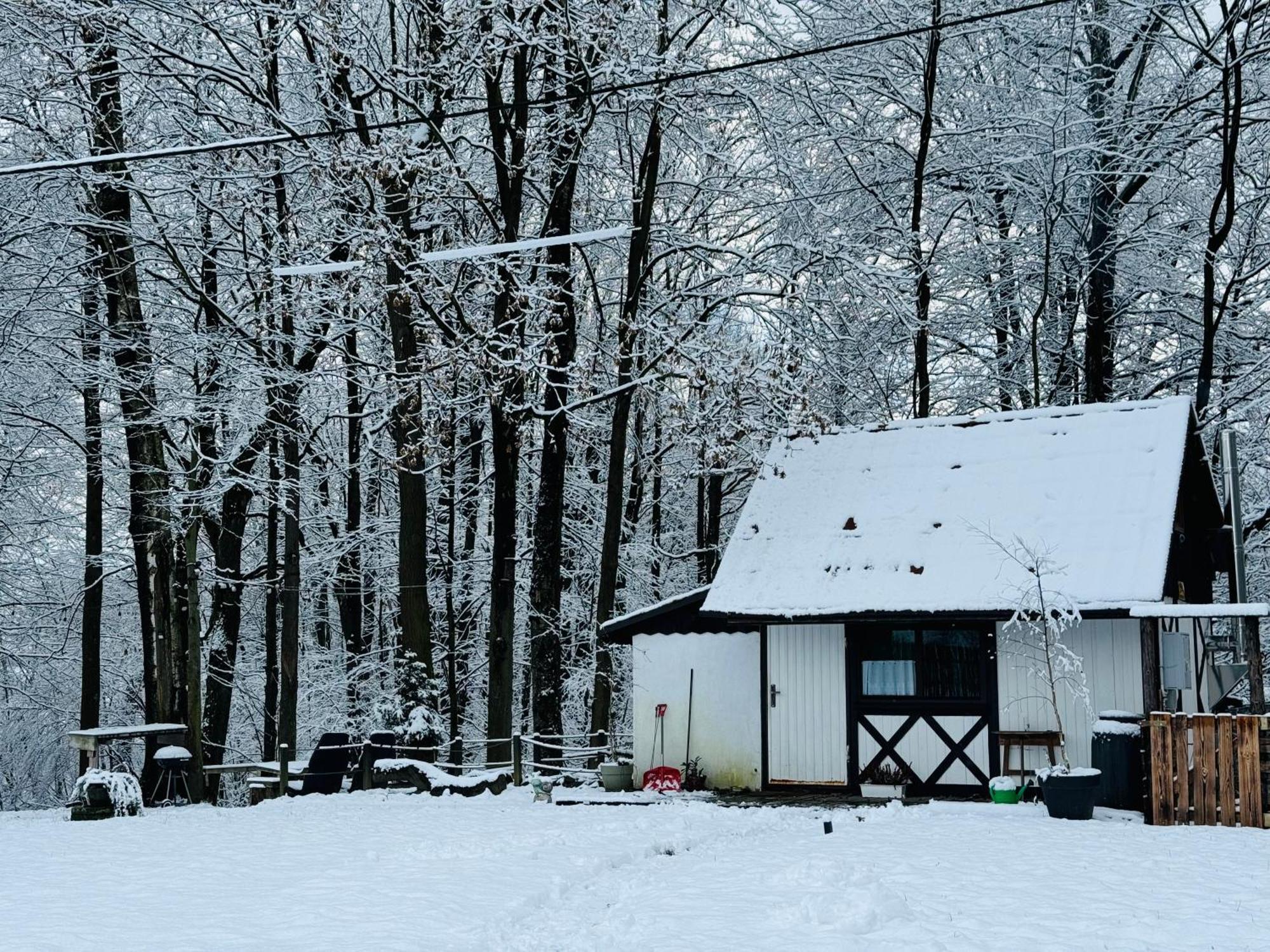 Вілла Romantyczna Chatka Pisarzowice  Екстер'єр фото