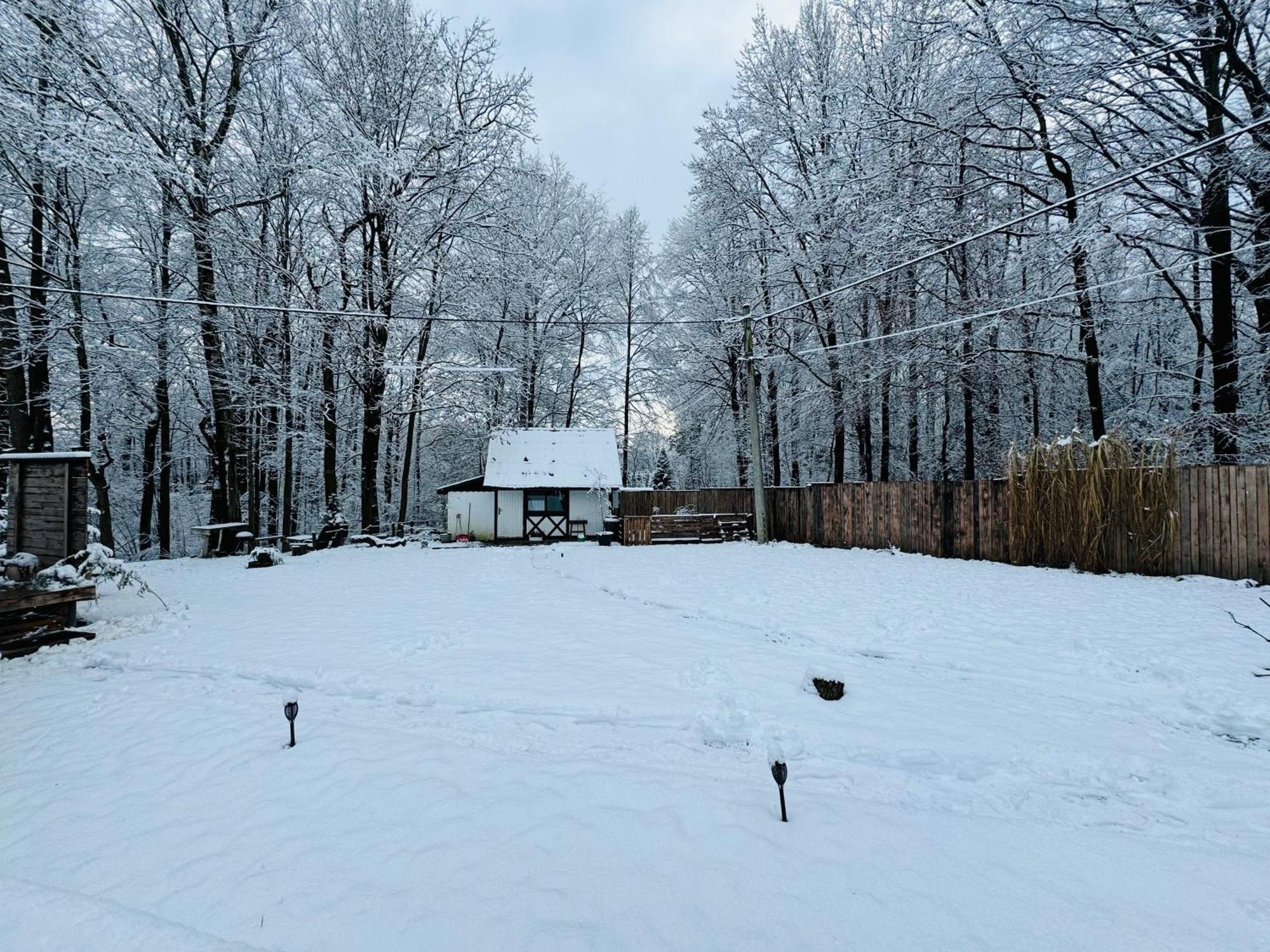 Romantyczna Chatka Pisarzowice  Екстер'єр фото