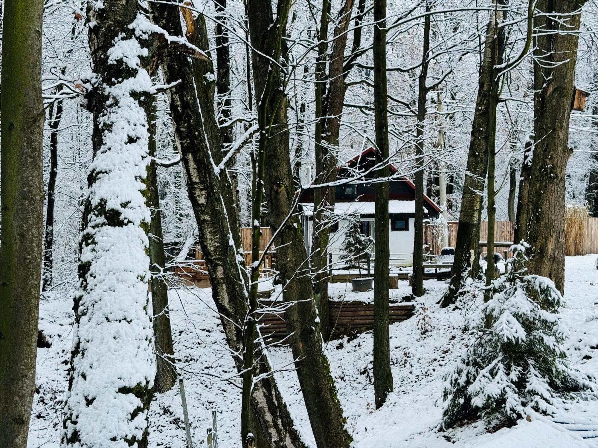 Romantyczna Chatka Pisarzowice  Екстер'єр фото